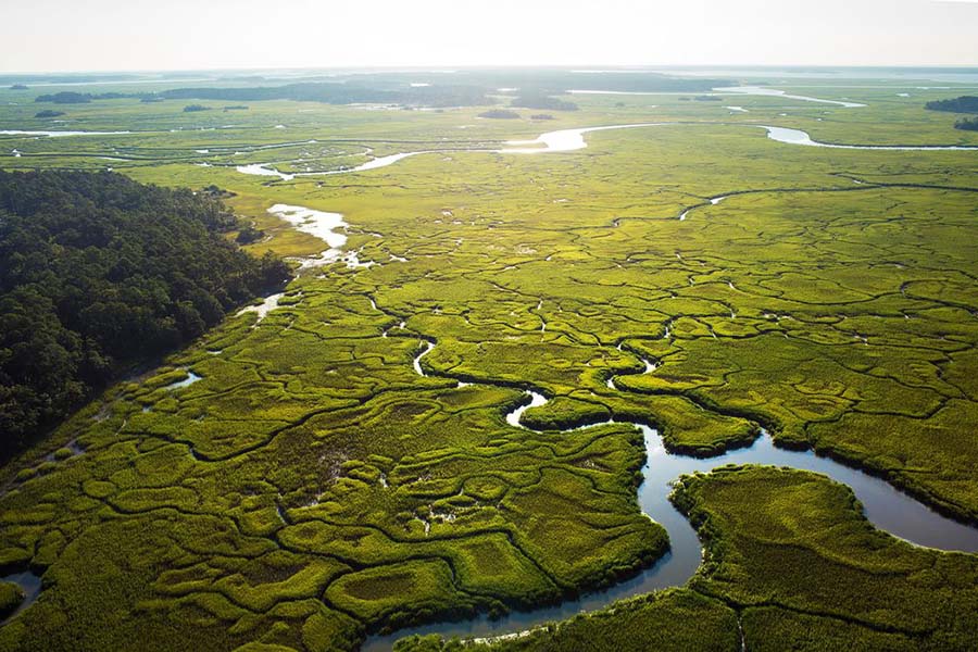 Marshes, Inlets, and Waterways
